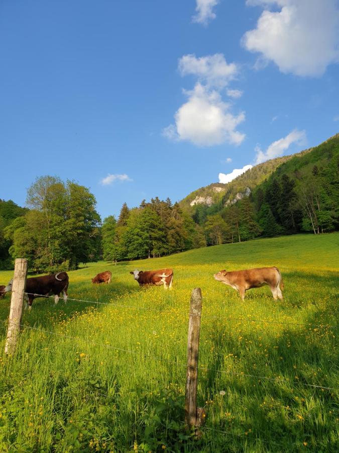 Agreable Chambre D'Hotes, Au Calme, Dans La Nature Roches Ngoại thất bức ảnh